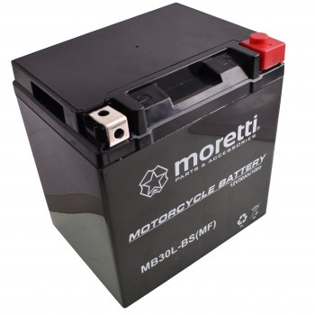 AKUMULATOR ZELOWY 12V...