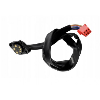 CZUJNIK LUZU BIEGOW RANGER...