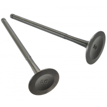 ZAWOR SSACY I WYDECHOWY...