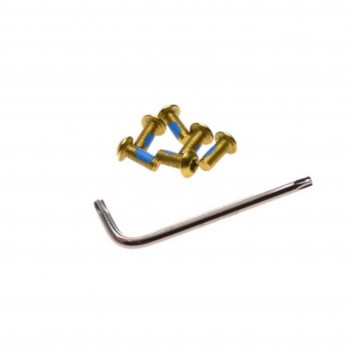 ŚRUBA TARCZY HAMULCOWEJ...