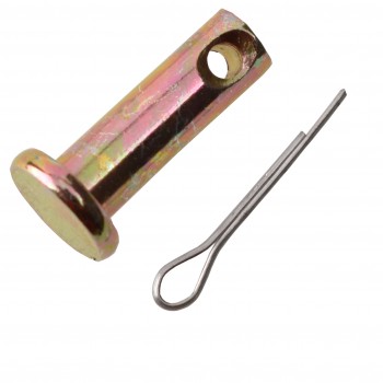 SWORZEN/TRZPIEN Z ZAWLECZKA...